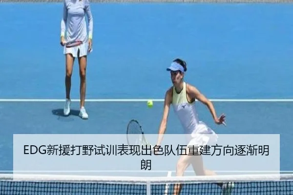 EDG新援打野试训表现出色队伍重建方向逐渐明朗